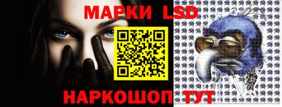 спиды Камышлов