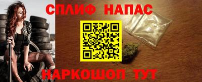 спиды Камышлов