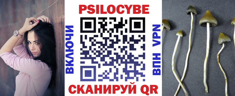 Псилоцибиновые грибы Cubensis  купить закладку  Междуреченск 