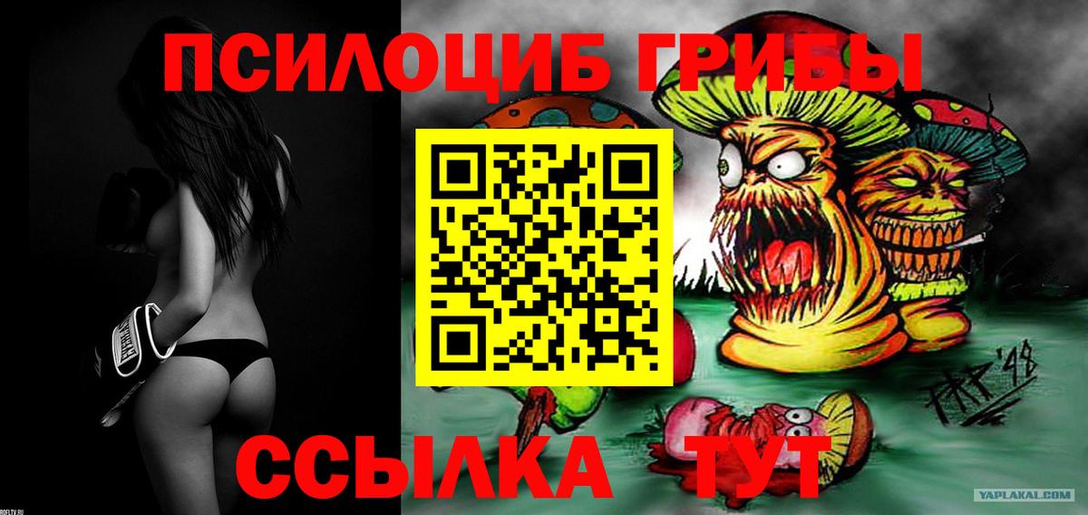 Междуреченск  купить наркотики цена  Псилоцибиновые грибы мицелий  Вход с VPN  Галлюциногенные грибы Cubensis 